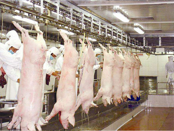 養(yǎng)殖、屠宰廢水